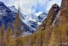 Ailefroide - Vallon de Clapouse, la Blanche