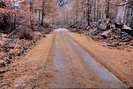 Crue dans la Combe du 3 octobre 2006 - Route de Dormillouse  la hauteur du Torrent d'Odeyer aprs la crue