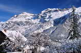 Puy-Saint-Vincent - Paysage de neige