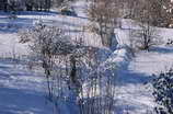 Puy-Saint-Vincent - Paysage de neige